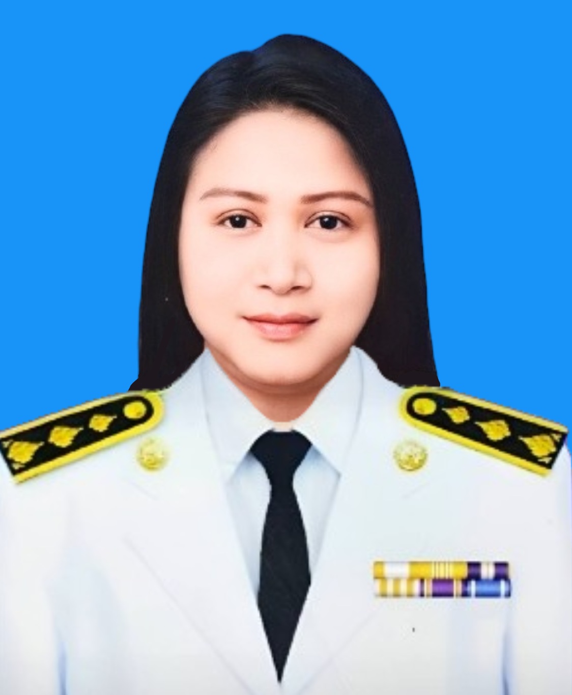 นางสาวสุภาวงค์ กระแสร์ฉาย